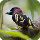 海外成人免费图片